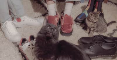 7 spring boots your pets want you to buy