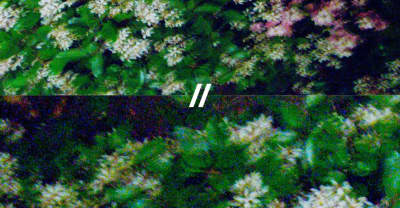 Abhi//Dijon Return With The Beautiful “Light”