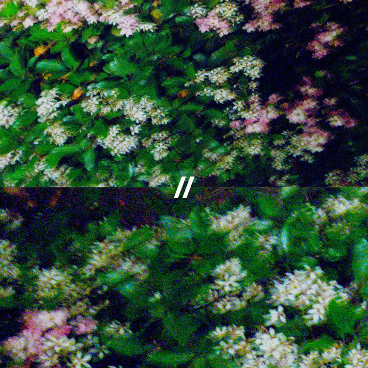 Abhi//Dijon Return With The Beautiful “Light”